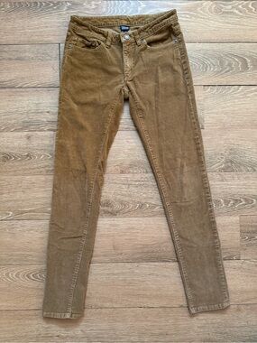 Patagonia Skinny Corduroy Pants in Brown